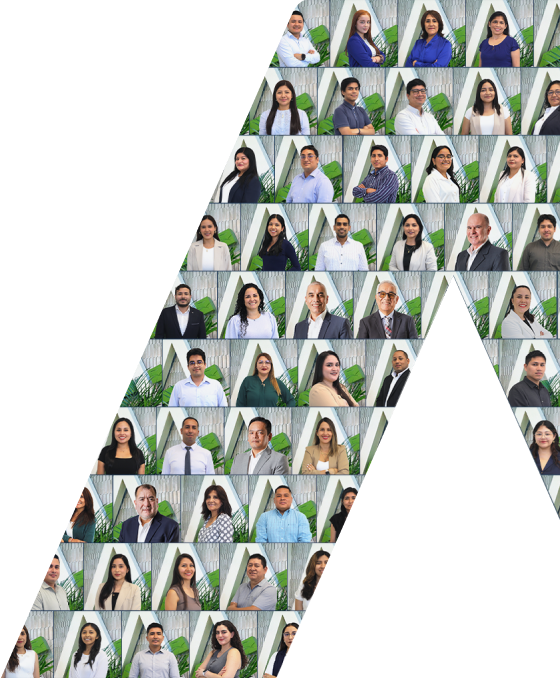 Experiencia que marca la diferencia