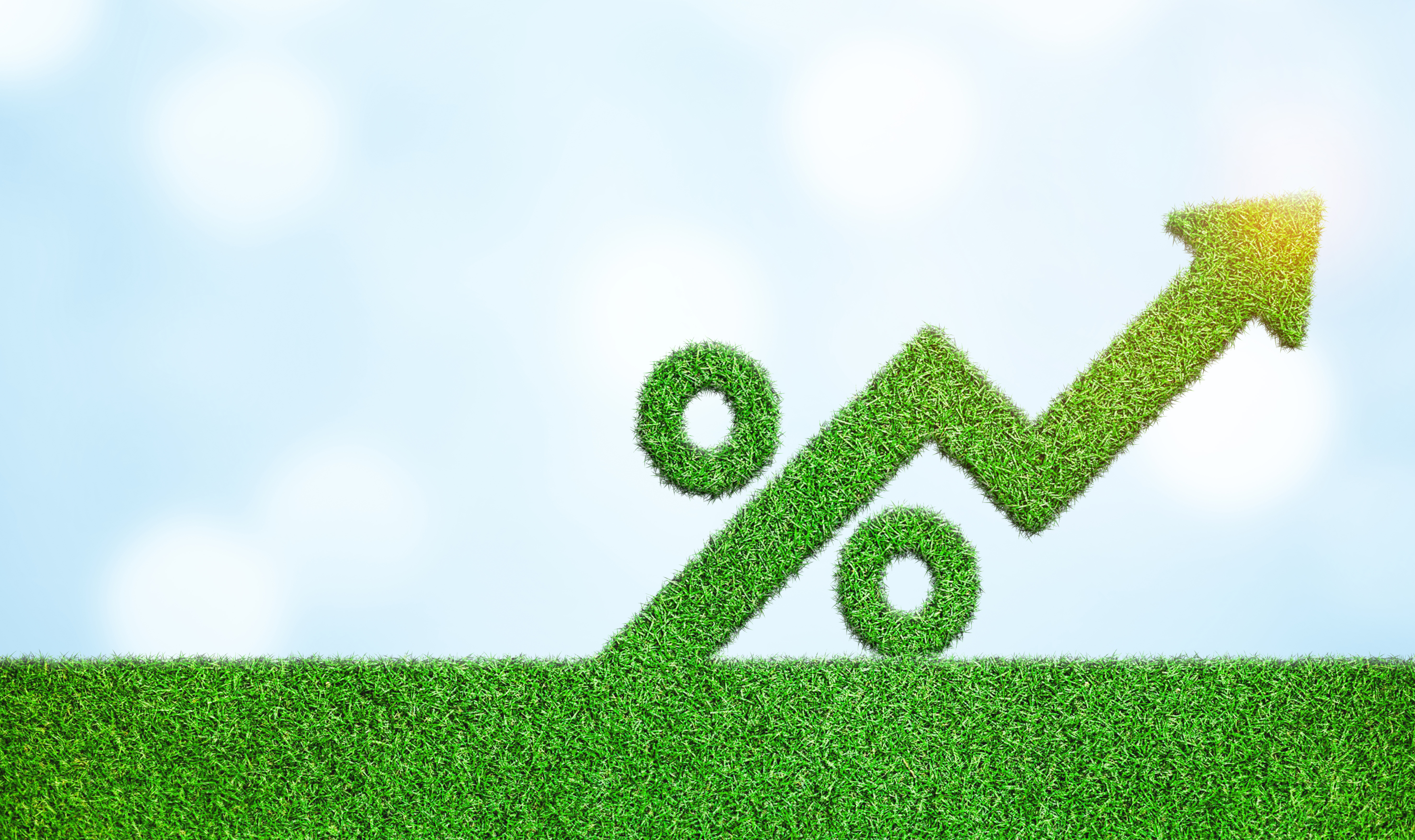 Métodos avanzados para decisiones estratégicas